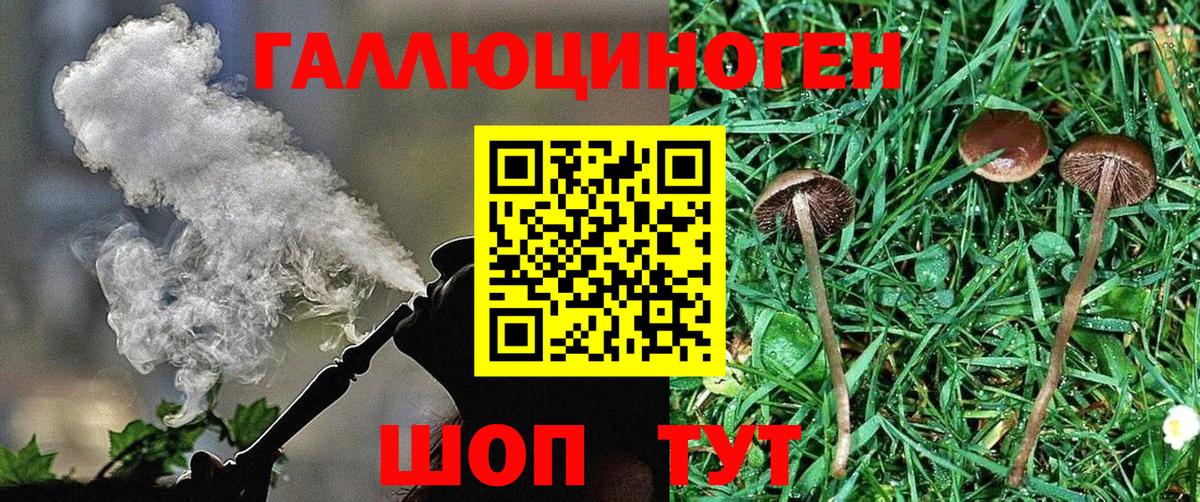 Псилоцибиновые грибы Cubensis Люберцы